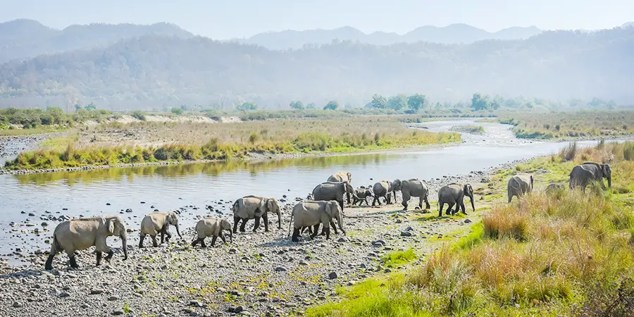 Haridwar Rishikesh Mussoorie Nainital Corbett Package, 1714992448_983264-slider-image.webp